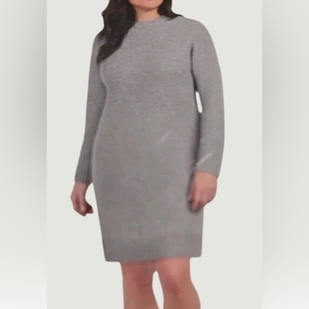 Dalia Women's Knit Long Sleeve Sweater Dress, Gray, Size XL